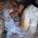 La statua di Apollo emerge dallo scavo_foto di Emanuele Mariotti_(copyright_ SABAP-SI - Comune di San Casciano dei Bagni campagna di scavi 2023