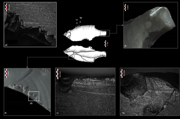 Combination of impact traces on an archaeological artefact that could be identified as a spearthrower dart thanks to the experiments. ©ULiège/TraceoLab