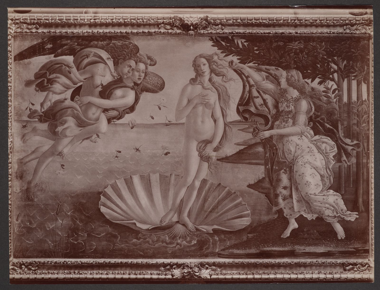 Venere, di Sandro Botticelli
