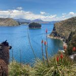 Andes Mountains A view of Lake Titicaca and Chelleca island in the background