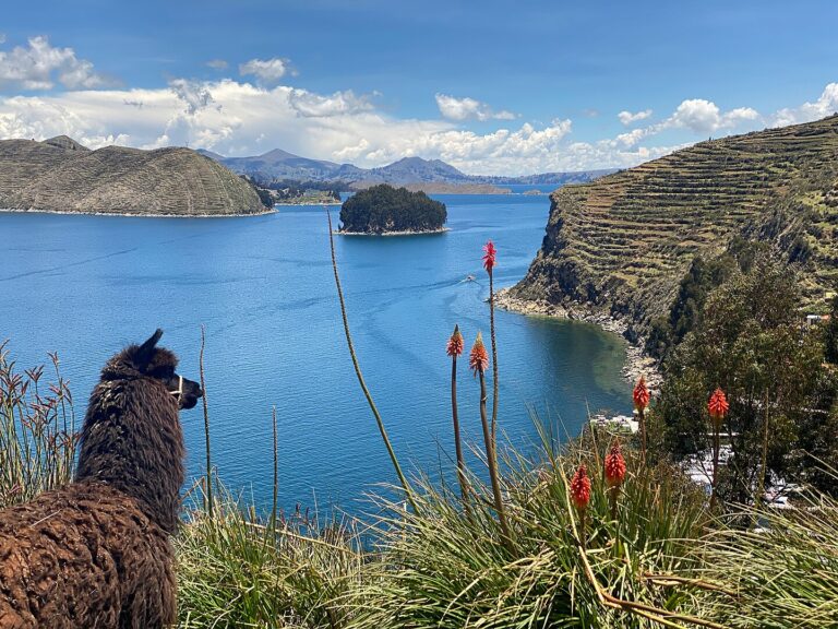 Andes Mountains A view of Lake Titicaca and Chelleca island in the background