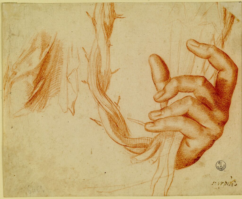Baccio Bandinelli (Firenze, 1493 - 1560)Studio di mano con strumenti della Passione e panneggio 1526-1527 circa Firenze, Gabinetto dei Disegni e delle Stampe degli Uffizi matita rossa