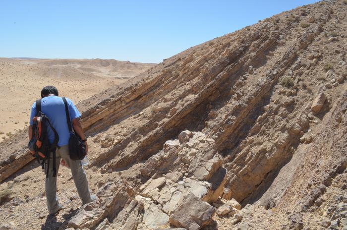 The research team focused on prehistoric sites and raw material sources (outcrops) in the Jebel Qalkha area, southern Jordan (photo). Credits: Professor Seiji Kadowaki