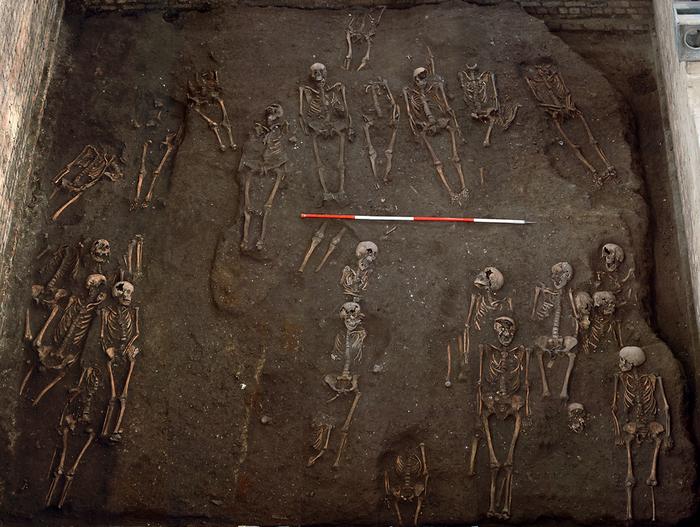 The remains of numerous individuals unearthed on the former site of the Hospital of St. John the Evangelist, taken during the 2010 excavation. Credits: Cambridge Archaeological Unit/St John’s College