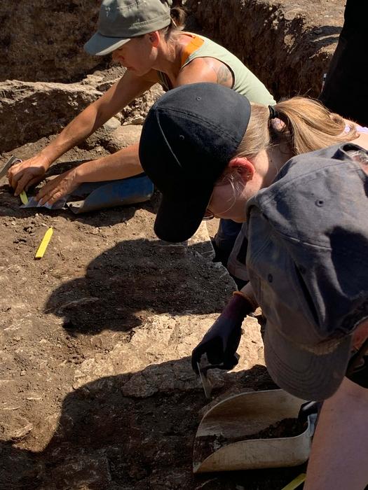 Last summer, archaeologists from Gothenburg University and Kiel University excavated a dolmen, a stone burial chamber, in Tiarp near Falköping in Sweden.