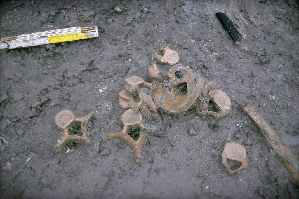 Photo from the excavation site Huseby Klev at the Swedish west coast. Photo: Bengt Nordquist