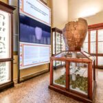 nuovo allestimento del Ripostiglio di San Francesco al Museo Civico Archeologico di Bologna. Foto Giorgio Bianchi - Comune di Bologna