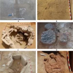 Stratigraphic units (SU) from which P. lineatus shells analysed in this investigation were recovered: SU 66 (A), SU 142 (B), SU 1406 (C), SU 1704 (D), SU 705 (E) and SU 1516 (F). Fig. 3 in García-Escárzaga, A., Cantillo-Duarte, J.J., Milano, S. et al. 2024, CC BY 4.0