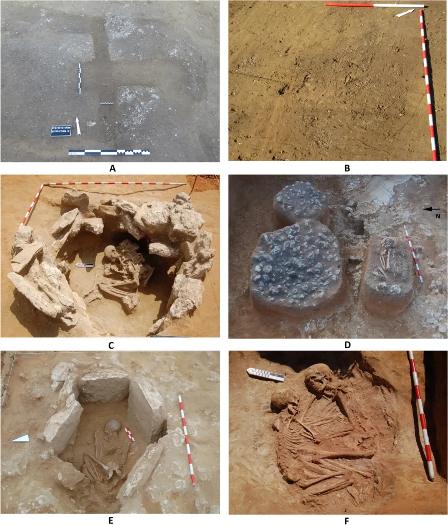 first settled San Fernando Stratigraphic units (SU) from which P. lineatus shells analysed in this investigation were recovered: SU 66 (A), SU 142 (B), SU 1406 (C), SU 1704 (D), SU 705 (E) and SU 1516 (F). Fig. 3 in García-Escárzaga, A., Cantillo-Duarte, J.J., Milano, S. et al. 2024, CC BY 4.0