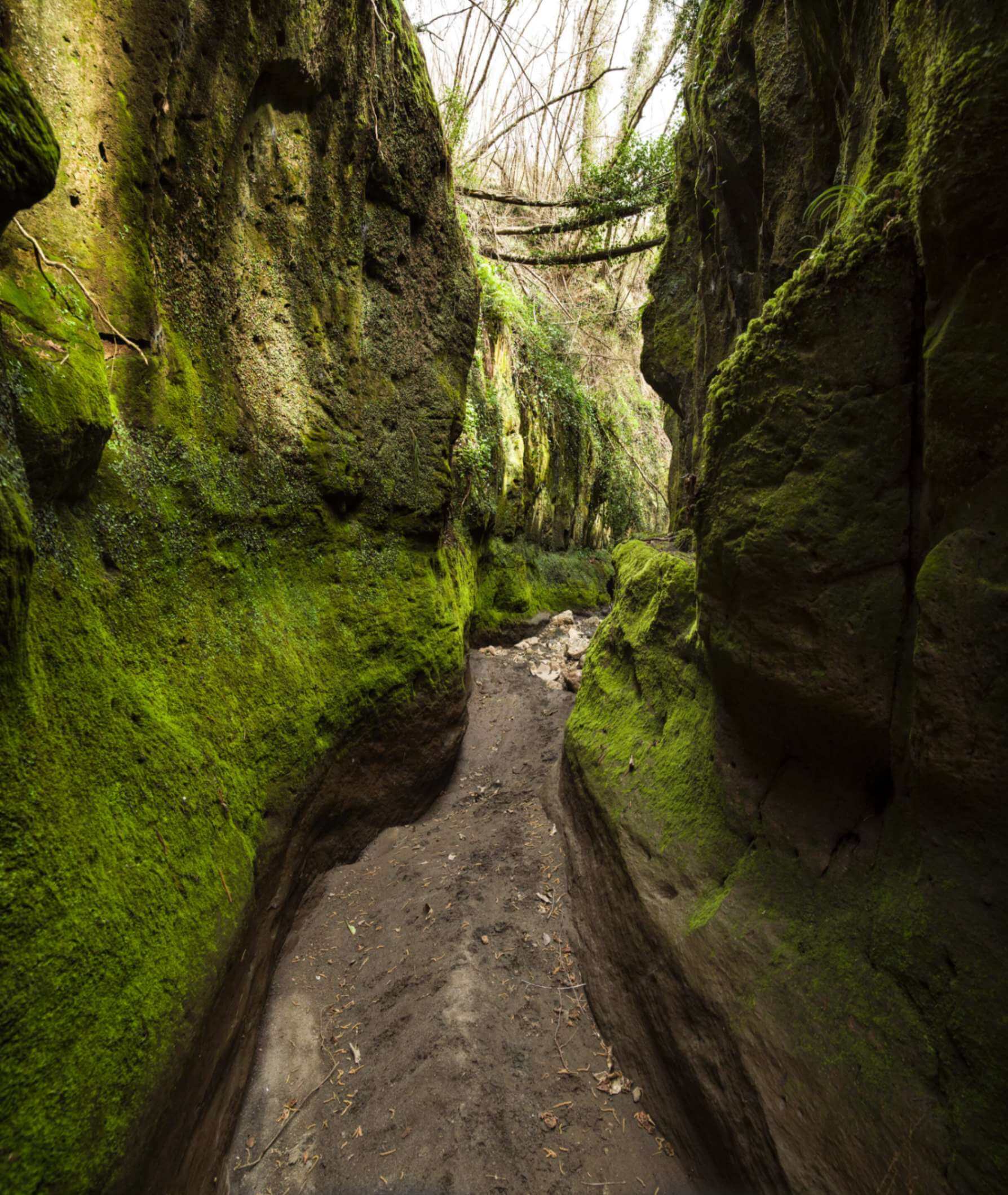 Gola del fiume Martorano, Durazzano (Benevento), 15 marzo 2023