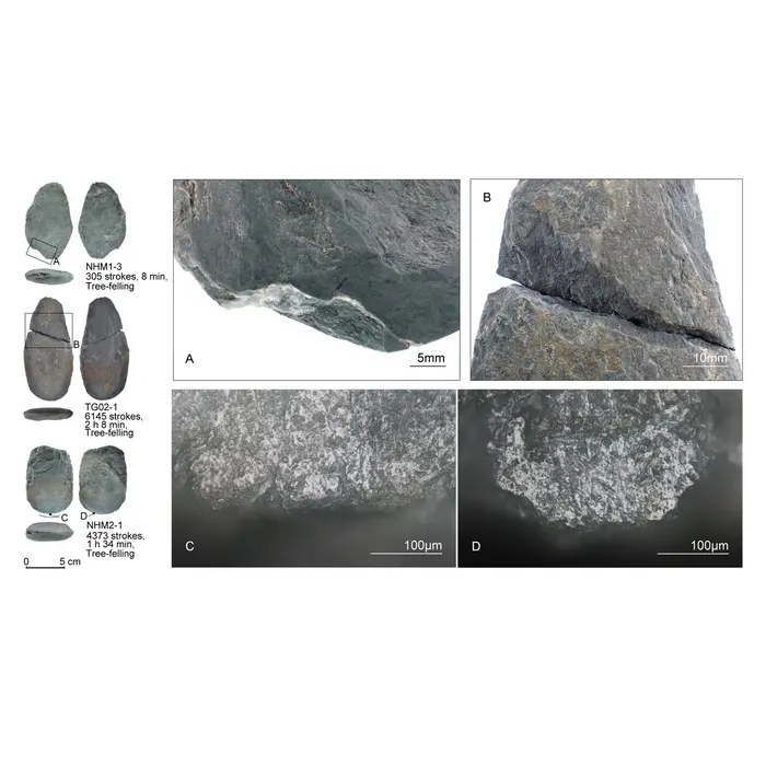 Characteristic macroscopic (top) and microscopic (bottom) traces might be used to determine how stone edges were used. Credits: Tokyo Metropolitan University