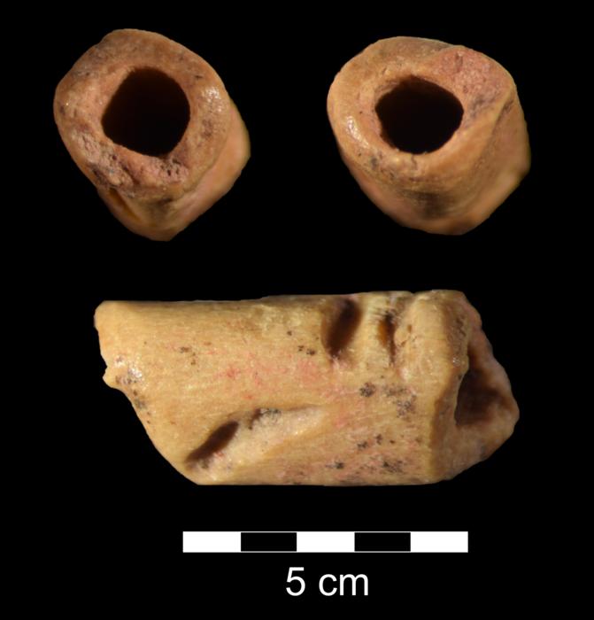 These images are of a tube-shaped bead made of bone that is about 12,940 years old. The bead was discovered at Wyoming’s La Prele Mammoth site by University of Wyoming archaeology Professor Todd Surovell and his research team. Credits: Todd Surovell