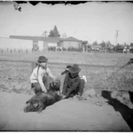 Chinese men holding down a pig in a fenced area in or new Los Angeles Chinatown, circa 1881-1910. Credits: Photo courtesy of the Lisa See Collection, Huntington Digital Library