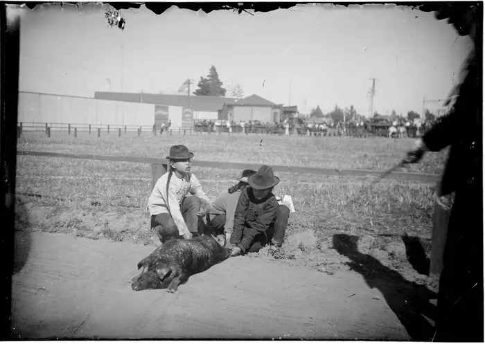 Chinese men holding down a pig in a fenced area in or new Los Angeles Chinatown, circa 1881-1910. Credits: Photo courtesy of the Lisa See Collection, Huntington Digital Library