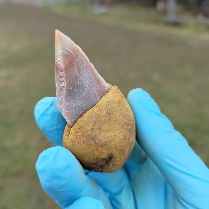 A stone tool glued into a handle made of liquid bitumen with the addition of 55 percent ochre. It is no longer sticky and can be handled easily. Image courtesy of Patrick Schmidt, University of Tübingen.