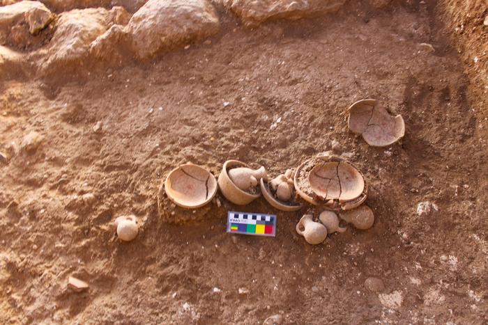 Temple offerings - miniature as well as food serving vessels, and a shell of marine mollusc, Tonna galea found in one of the temples Photo Credits: Prof. Aren Maeir