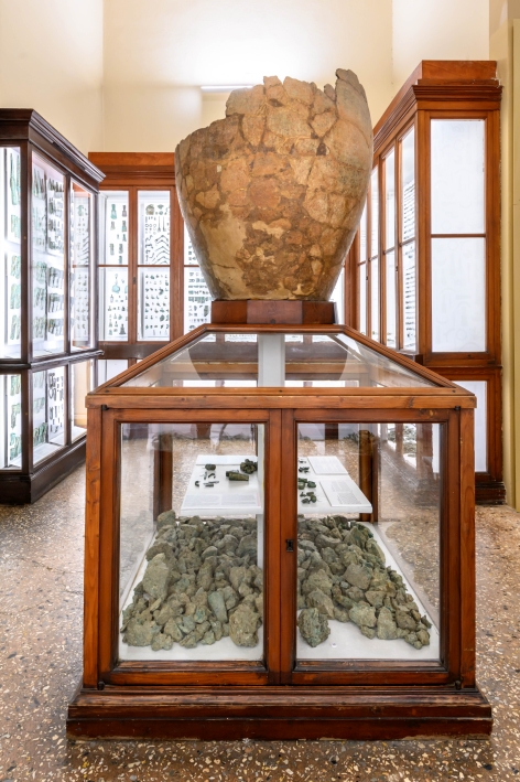 Veduta del nuovo allestimento del Ripostiglio di San Francesco al Museo Civico Archeologico di Bologna.Foto Giorgio Bianchi - Comune di Bologna