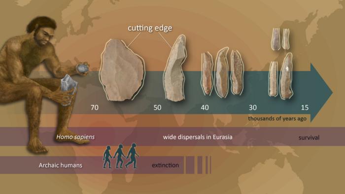 The increase in the productivity of stone tool cutting-edge (shown in white lines) did not occur before or at the beginning of Homo sapiens’ wide dispersals in Eurasia but subsequently occurred after their initial dispersals, coinciding with the development of bladelet technology in the Early Upper Paleolithic. Credits: Reiko Matsushita