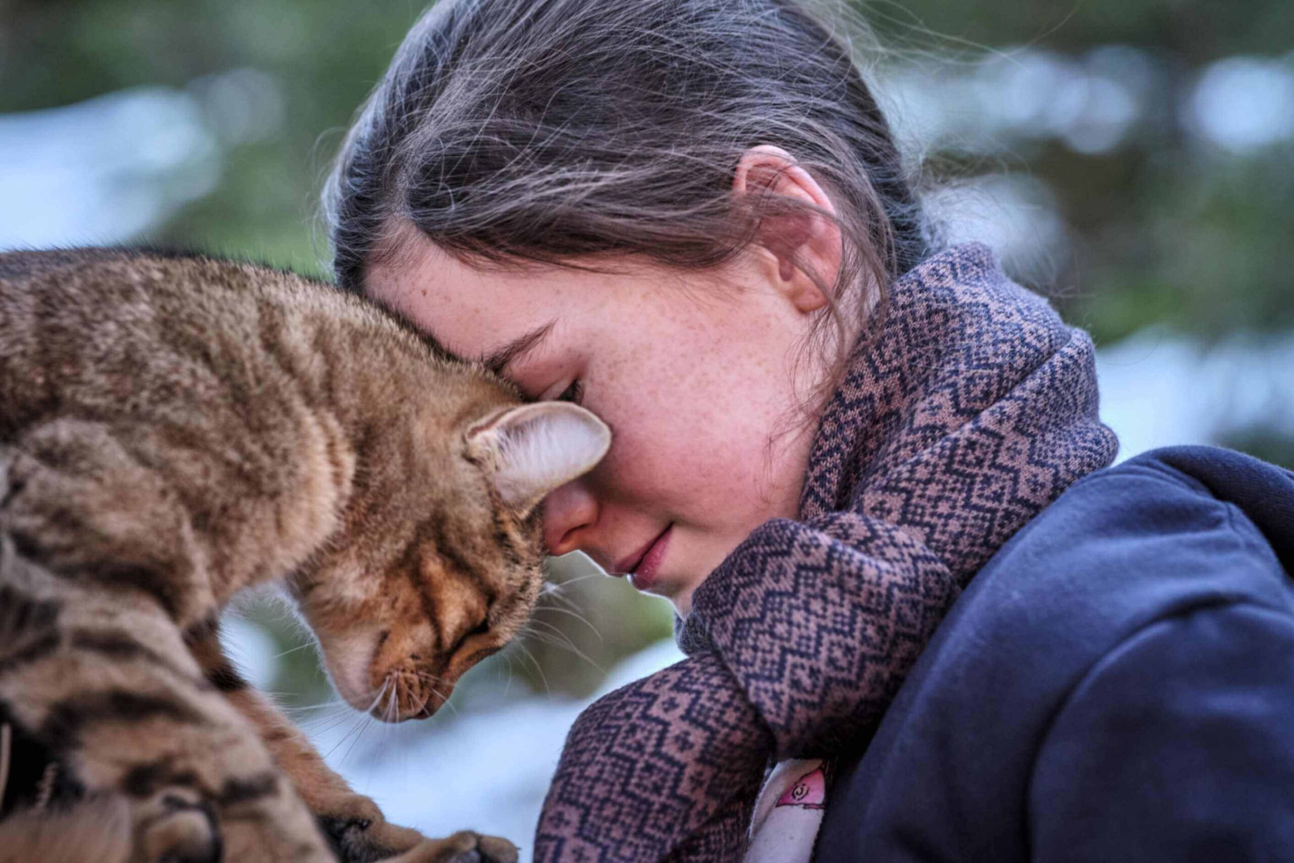 Vita da gatto - Crescere insieme è l’avventura più grande, di Guillaume Maidatchevsky