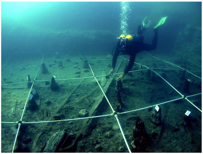 La Marmotta Excavation of Canoe 5.