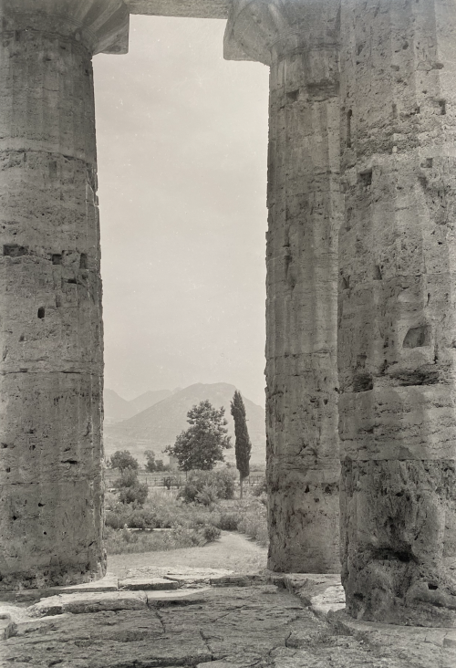 Giuseppe Cavalli, Paestum, 1951