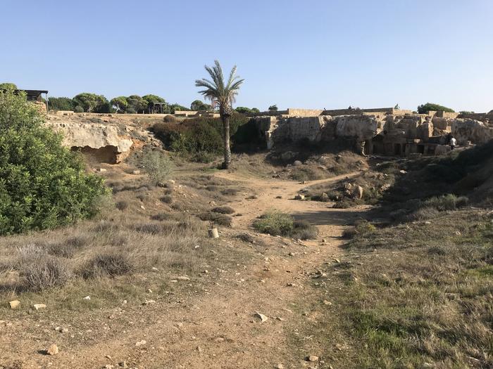 One small part of the celebrated Hellenistic tomb complex near Paphos, Tomb of the Kings – a World Heritage Site. Credits: © ULAS, University of Leicester