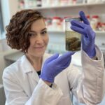 New archive of ancient human brains challenges misconceptions of soft tissue preservation Alexandra Morton-Hayward, forensic anthropologist and doctoral candidate at the University of Oxford, holds the two cerebellar hemispheres of a 200 year-old brain, preserved in formalin. Image credits: Graham Poulter