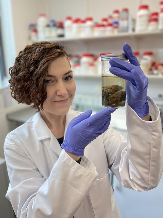 New archive of ancient human brains challenges misconceptions of soft tissue preservation Alexandra Morton-Hayward, forensic anthropologist and doctoral candidate at the University of Oxford, holds the two cerebellar hemispheres of a 200 year-old brain, preserved in formalin. Image credits: Graham Poulter