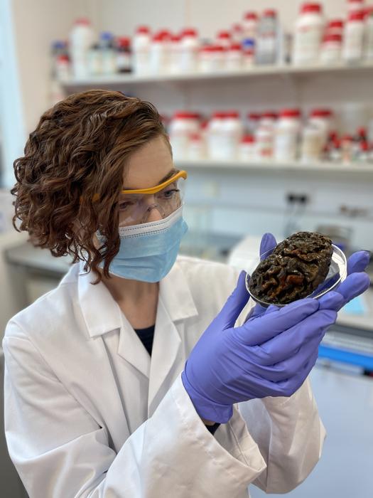 Alexandra Morton-Hayward, forensic anthropologist and doctoral candidate at the University of Oxford, demonstrates the preserved neural folds of a 1,000 year-old brain. Image credits: Graham Poulter