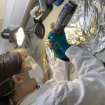 Exeter researchers analysing bones recovered from the horse cemetery.