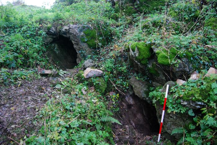 Bronze Age teeth diet Killuragh Cave, Ireland. Credits: Credit Sam Moore, Owner Marion Dowd