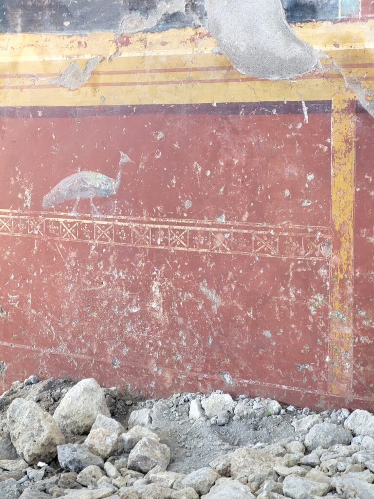 Regio IX Pompei cantiere