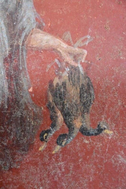 affresco dall'atrio della casa di Leda e il cigno