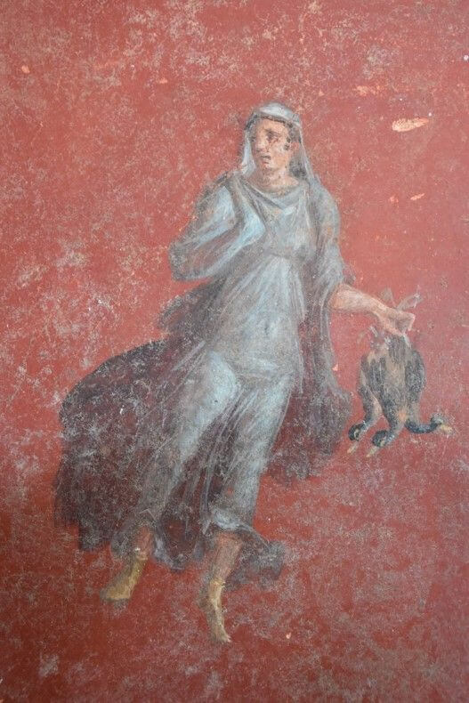 affresco dall'atrio della casa di Leda e il cigno