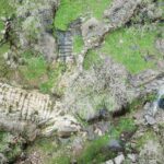 Rabana-merquly Anahita sanctuary Ephemeral waterfall with main staircase and wadi (April 2019)
