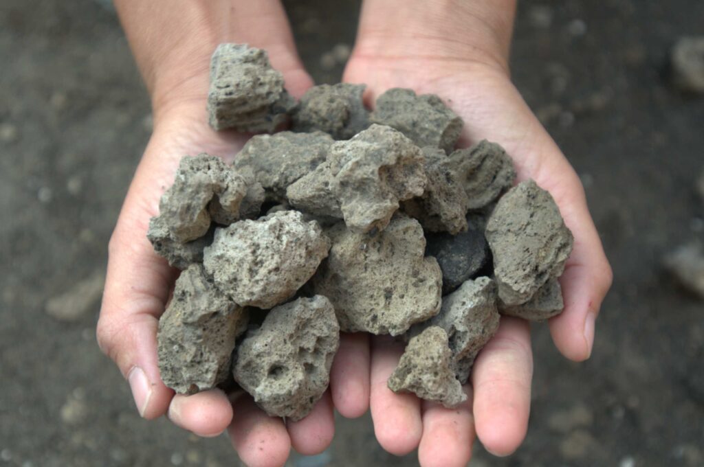 A handful of pumice. Ejected volcanic rocks from the A.D. 79 eruption of Mount Vesuvius. ©2024 Institute for Advanced Global Studies CC-BY-ND