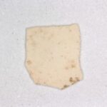 An eggshell fragment from the site of Bash Tepa, representing one of the earliest pieces of evidence for chickens on the Silk Road. Credits: Robert Spengler