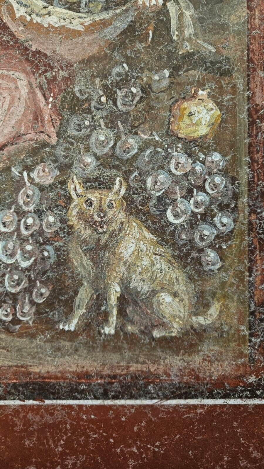 Casa dei Pittori al Lavoro: cane