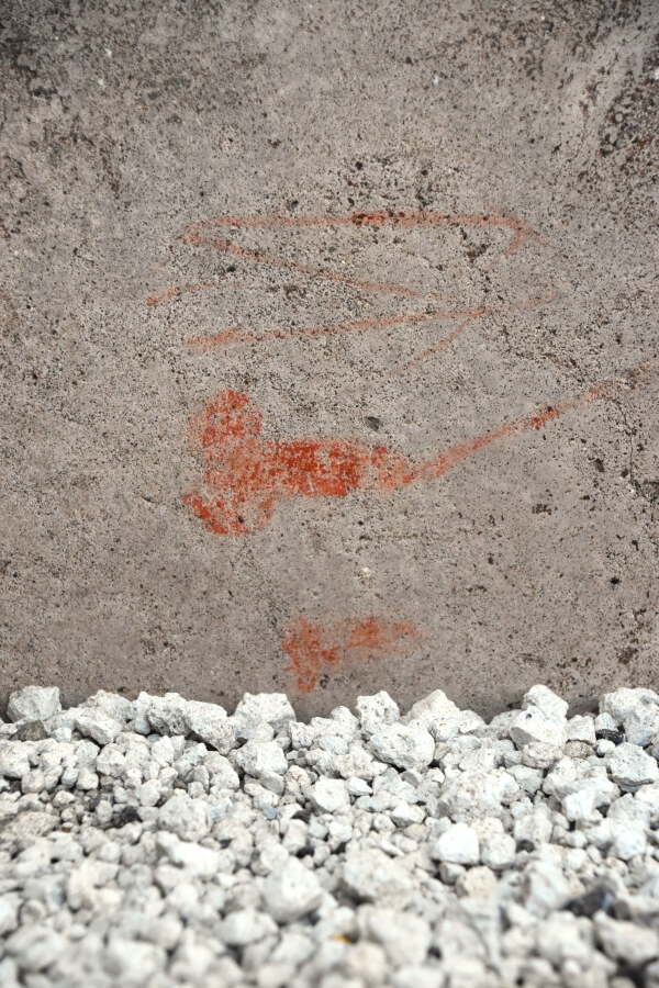 Casa del II Cenacolo, Colonnato: Disegni di membri maschili