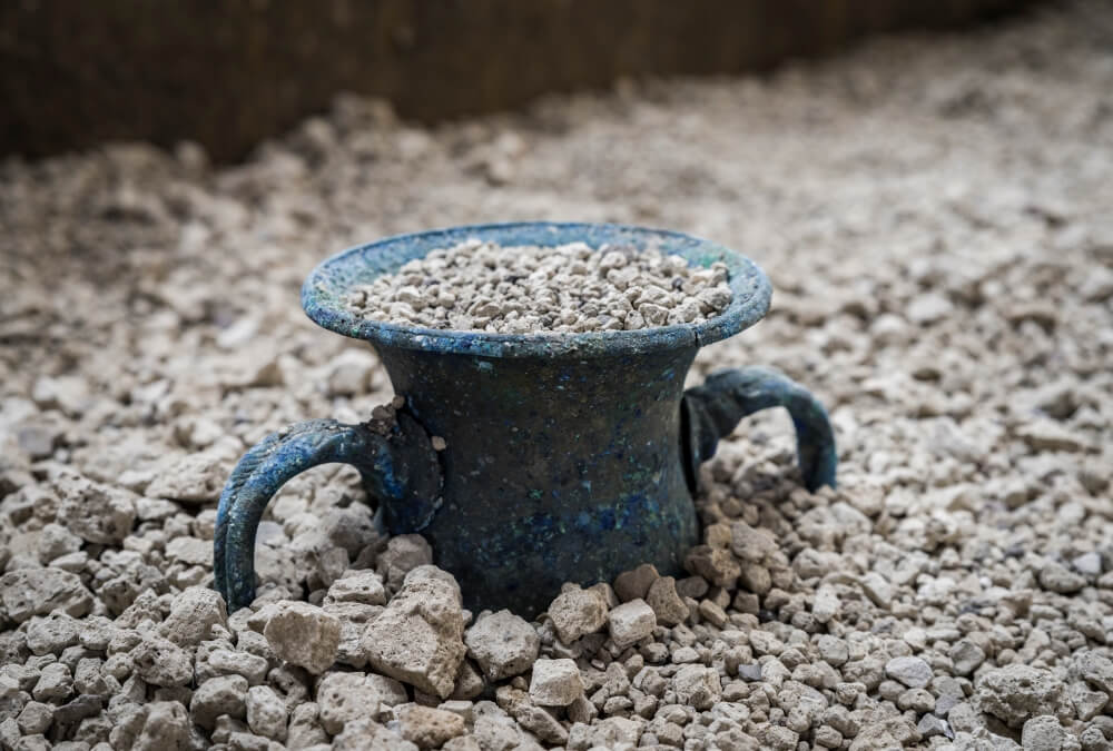 Casa del II Cenacolo, Colonnato: un vaso