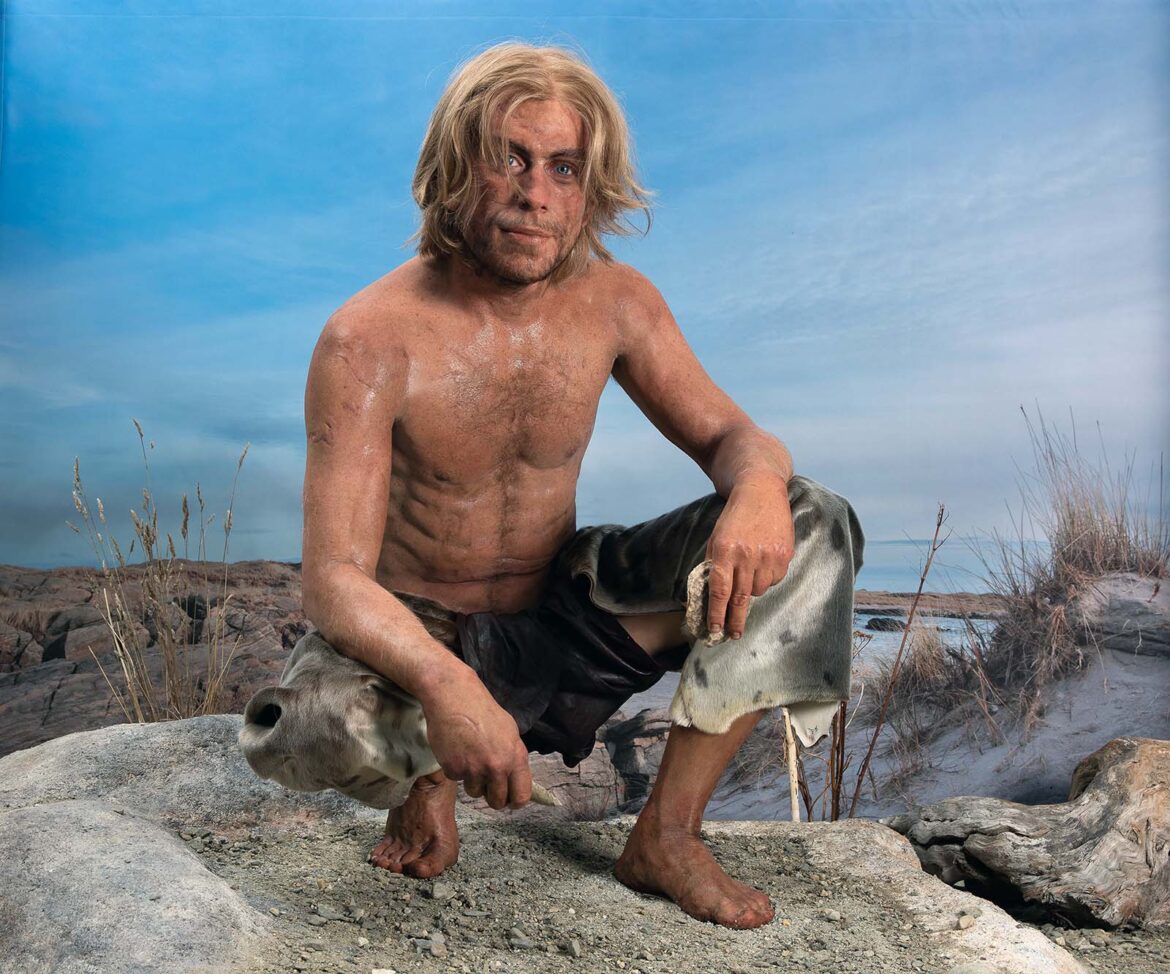 NTNU University Museum has recreated the Hitra man as he probably looked: approximately 169 cm tall, fair-haired and blue-eyed. The model of the Hitra man was created by Thomas Foldberg. Photo: Åge Hojem / NTNU University Museum