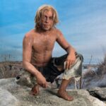 NTNU University Museum has recreated the Hitra man as he probably looked: approximately 169 cm tall, fair-haired and blue-eyed. The model of the Hitra man was created by Thomas Foldberg. Photo: Åge Hojem / NTNU University Museum
