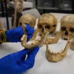 Un estudio revela las prácticas dietéticas de las comunidades agropastoriles del noreste de la península ibérica Mandible with advanced macro wear/Antonio Rodríguez Hidalgo