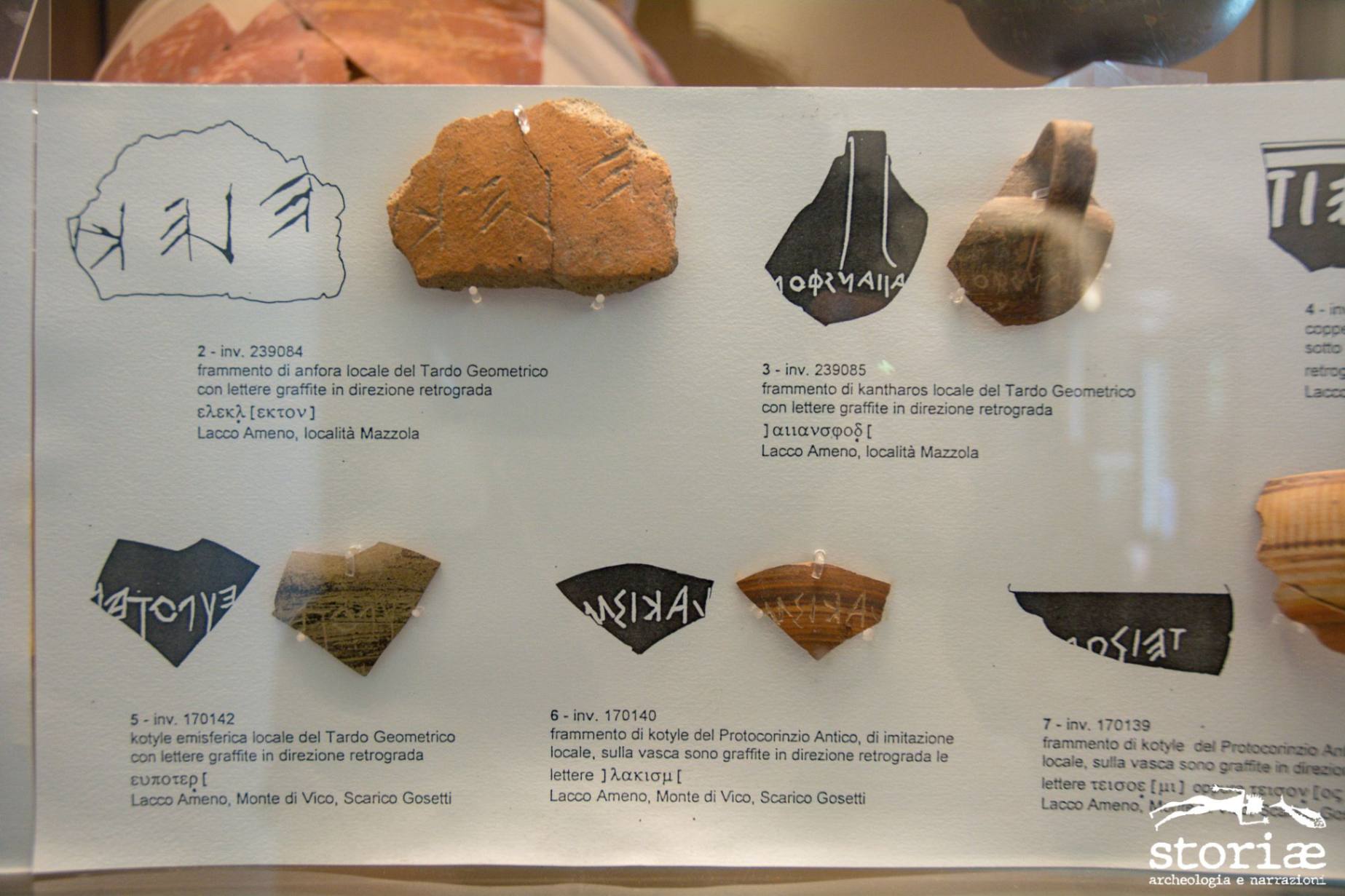 Museo Pithecusae: visita guidata