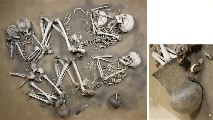 El análisis de trazas de grasas en más de un centenar de cerámicas desvela grandes cambios de la cocina prehistórica centroeuropea Multiple burial tomb belonging to the Corded Ware Culture (dating back 4,500 years), discovered in Oechlitz, Saxony-Anhalt. The corded ware decorated vessel contained milk, while the small pot revealed traces of ruminant-derived fats. © State Office for Heritage Management and Archaeology Saxony-Anhalt.