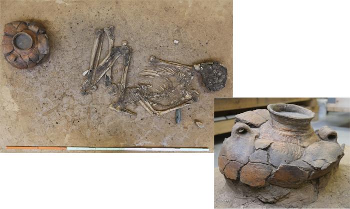 Tomb of an adult male (30-50 years old) from the Corded Ware Culture (dating back 4,500 years). The large decorated amphorae forming part of the grave goods usually contained pig-derived fats. © State Office for Heritage Management and Archaeology Saxony-Anhalt