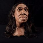 The recreated head of Shanidar Z, made by the Kennis brothers for the Netflix documentary ‘Secrets of the Neanderthals’ based on 3D scans of the reconstructed skull. Credits: BBC Studios/Jamie Simonds