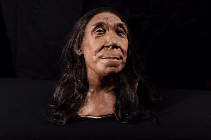 The recreated head of Shanidar Z, made by the Kennis brothers for the Netflix documentary ‘Secrets of the Neanderthals’ based on 3D scans of the reconstructed skull. Credits: BBC Studios/Jamie Simonds