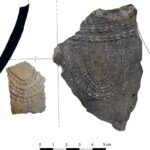 Ceramic remains from Espluga de Puyascada Cave (La Fueva, Huesca) analysed in the study. Author: R. Laborda