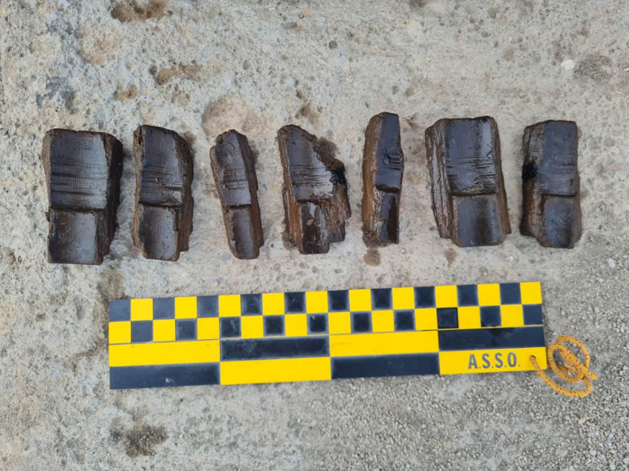 Nuovi reperti da un pozzo, di fronte alla scalinata del tempio di Ercole, nell'Area Sacra del Parco archeologico di Ostia antica, potranno fornire ancora informazioni sui riti in età imperiale